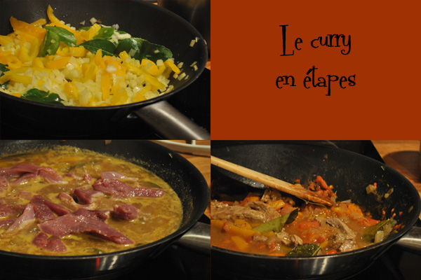 Curry rouge de canard