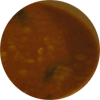 Toor dhal